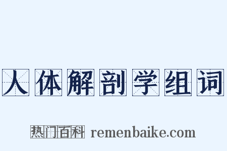 人体解剖学组词是什么意思的图片